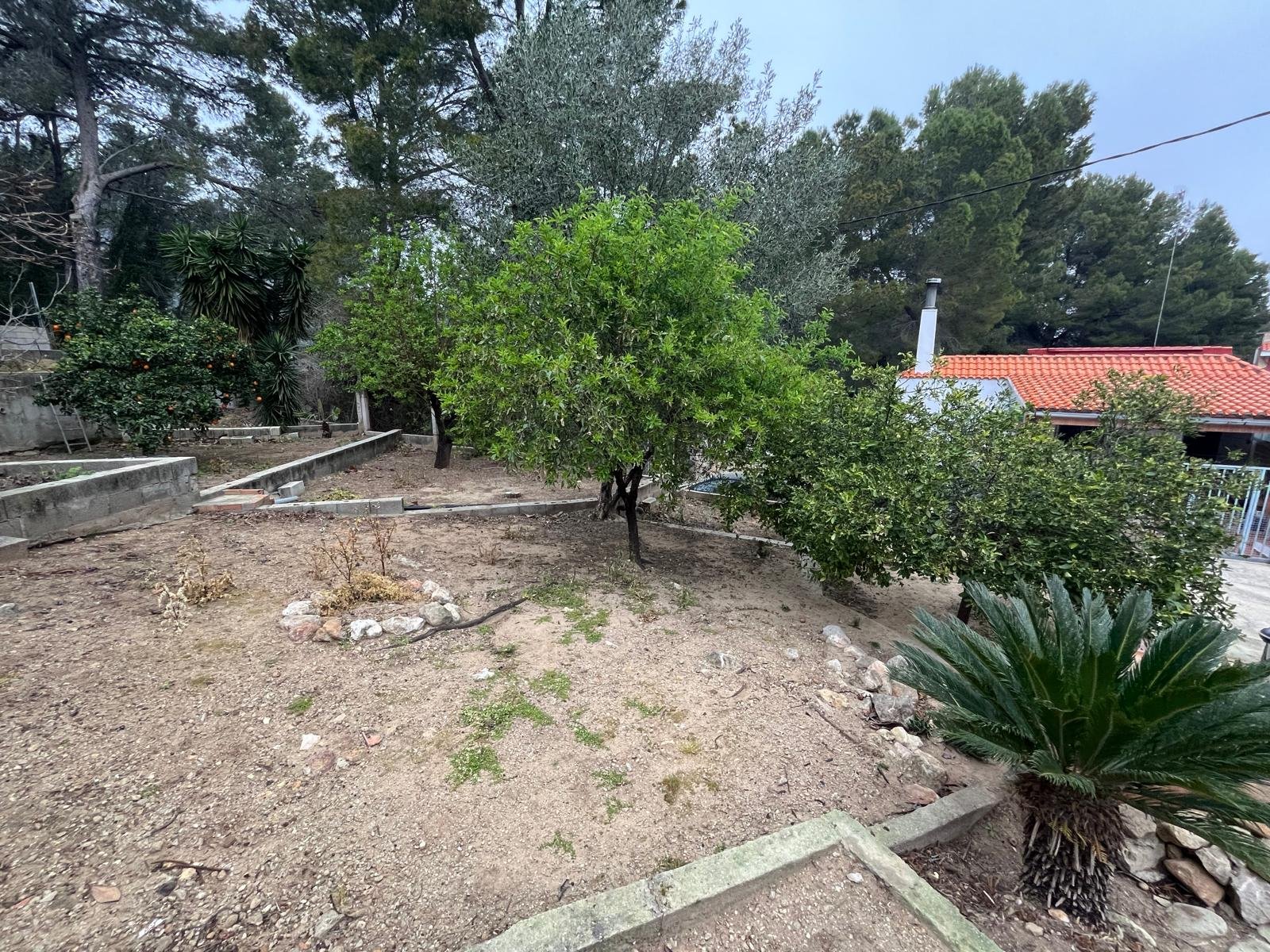 PHOTO-2026-04-13-14-19-19 2