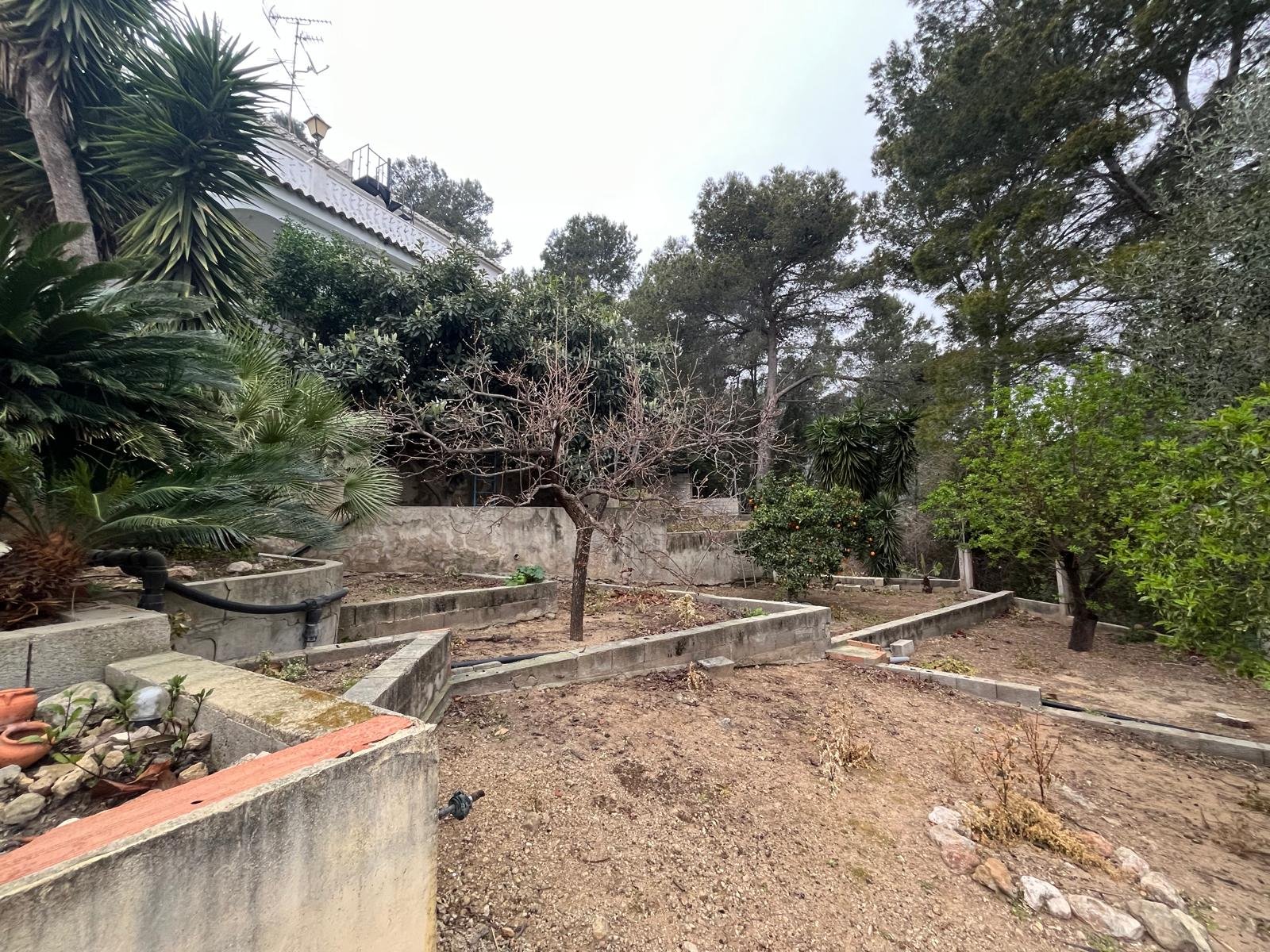 PHOTO-2026-04-13-14-19-19