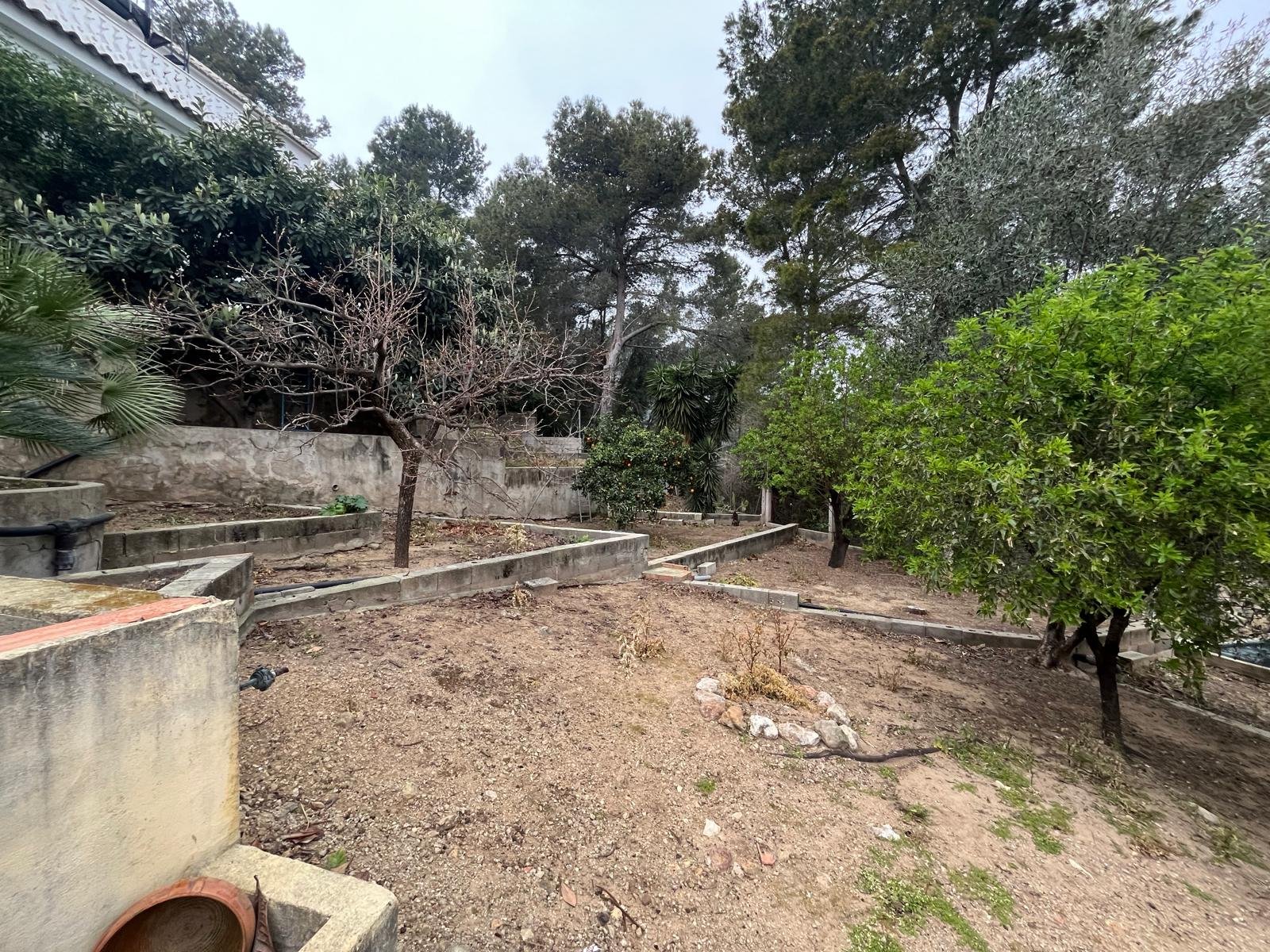 PHOTO-2026-04-13-14-19-23 2