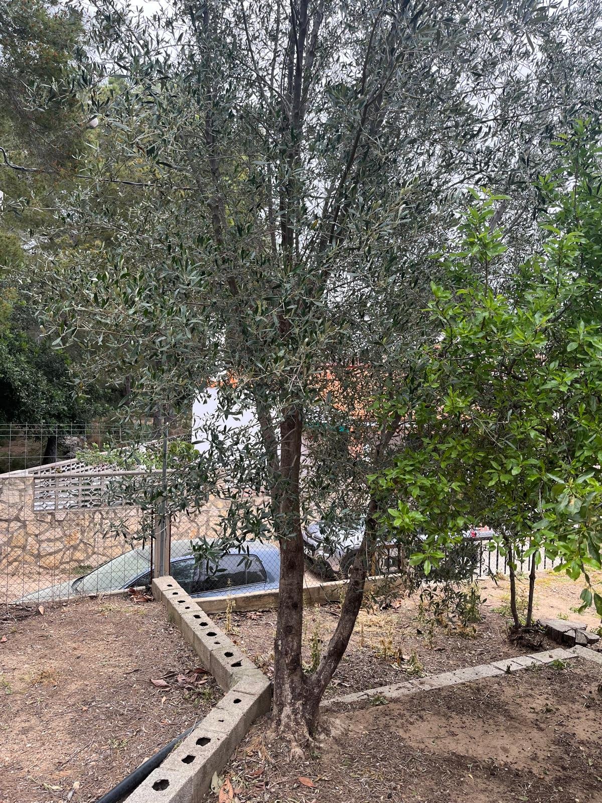 PHOTO-2026-04-13-14-19-23 6