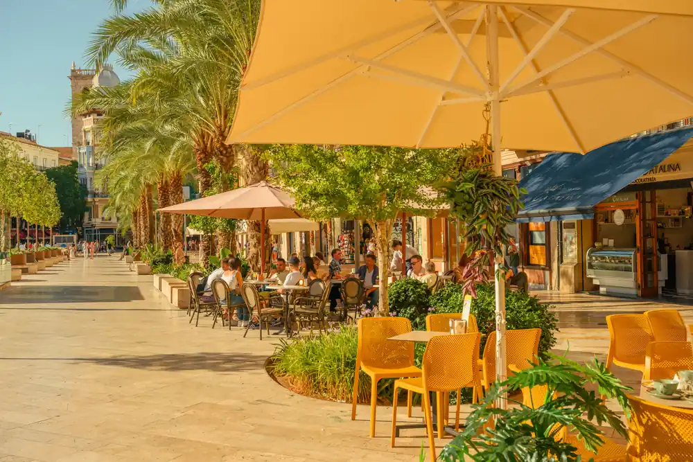 Café terrace with yellow parasols and palm trees on Plaza de la Reina in Valencia