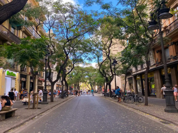 "A tree-lined street in central Valencia — the city centre where thousands of international buyers are now choosing to put down roots"