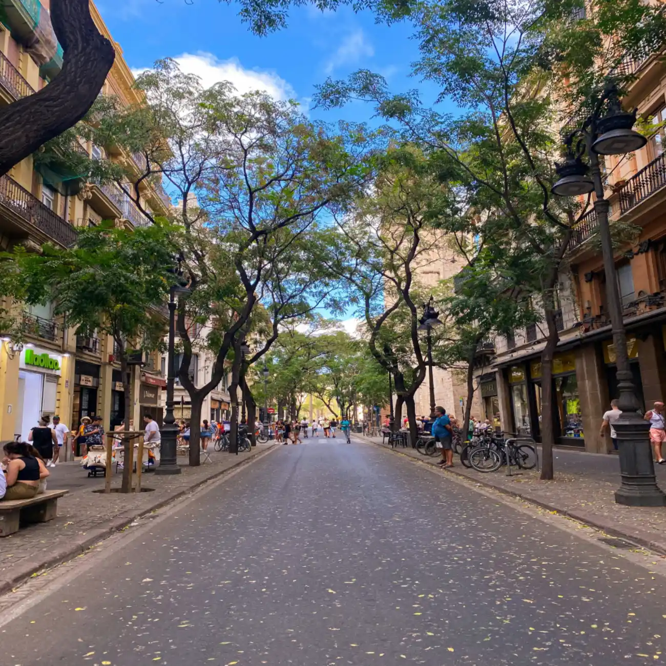 "A tree-lined street in central Valencia — the city centre where thousands of international buyers are now choosing to put down roots"