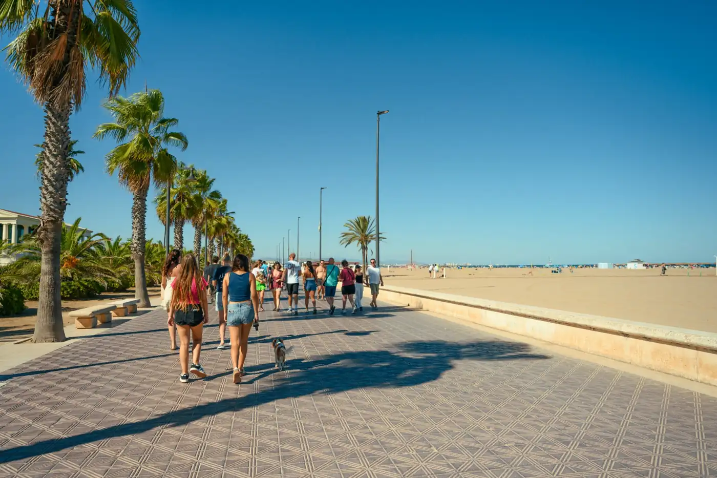 Paseo Marítimo promenade at Las Arenas beach in El Cabanyal, Valencia, with palm trees